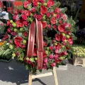 Wieniec Anturium