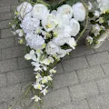 Białe Serce