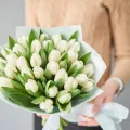 Białe Tulipany