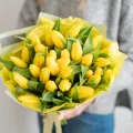 Tulipany Żółte