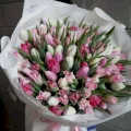 Tęczowe Tulipany