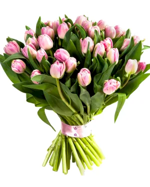 Różowe Tulipany
