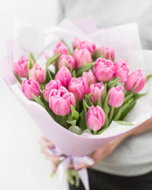 Tulipany Różowe