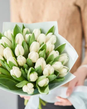 Białe Tulipany