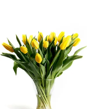 Tulipany Żółte