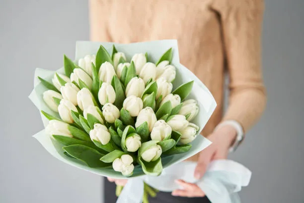 Białe Tulipany