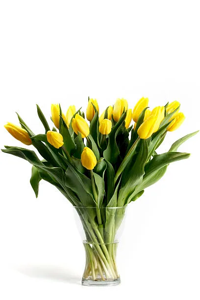 Tulipany Żółte