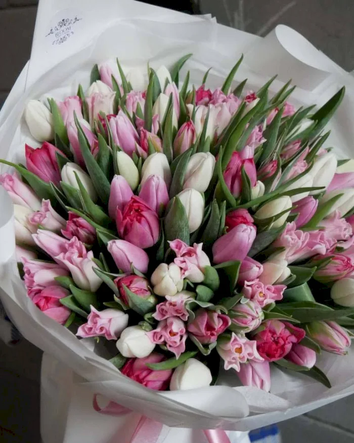 Tęczowe Tulipany